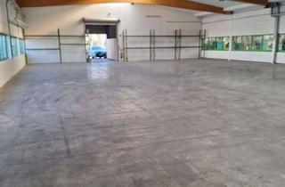 Büro zu mieten in 77933 Lahr, Lagerhalle mit Büro im Gewerbegebiet West Lahr zu vermieten