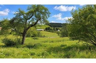 Grundstück zu kaufen in Auf Den Höfen, 78078 Niedereschach, 2.443 m² Baugrundstück mit positivem Bauvorbescheid - viel Platz & Weitblick
