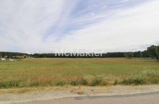 Grundstück zu kaufen in 06901 Kemberg, Verpachtete landwirtschaftliche Fläche - Acker und Wald