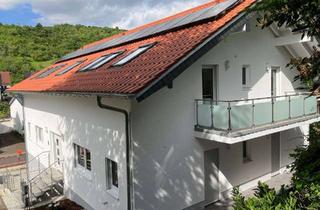 Wohnung mieten in Luitpoldstraße 73a, 67806 Rockenhausen, Erstbezug: Helle 3-Zimmer Neubauwohnung mit Einbauküche, Balkon und Solarstrom