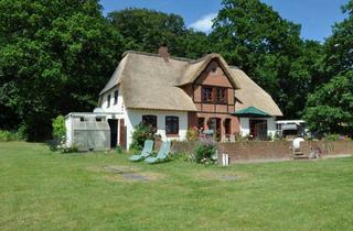 Haus kaufen in 24369 Waabs, Reetdachhaus nahe der Ostsee