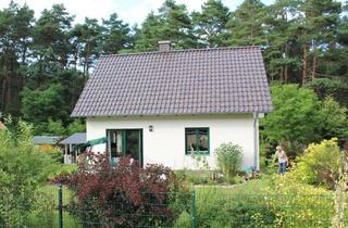 Haus kaufen in 17459 Loddin, Ferienhaus mitten auf der Sonneninsel Usedom - Dorf Loddin