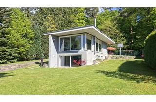Haus mieten in 65779 Kelkheim, Lichtdurchflutetes modernes Bauhaus am Wald mit grossem Grundstück und Fernblick