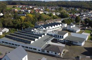 Geschäftslokal mieten in 35781 Weilburg, Vielseitig nutzbare Gewerbehalle 1.000 qm mit 3 t Laufkran bei Weilburg - provisionsfrei