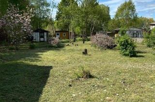 Grundstück zu kaufen in 17309 Pasewalk, Die Nachtigall in der Stadt - Baubeginn 2026 möglich -