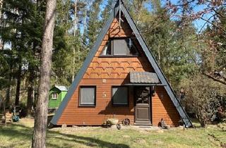 Haus kaufen in 29456 Hitzacker, Hitzacker (Elbe) - 29456 Hitzacker - Wohnen wie im Urlaub