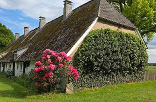 Haus kaufen in 19249 Lübtheen, Lübtheen - Altes Landhaus in ruhiger Lage!