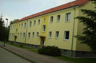 Wohnung mieten in Bahnhofstr. 164, 19230 Hagenow, Ansehen - Einziehen - Wohlfühlen!