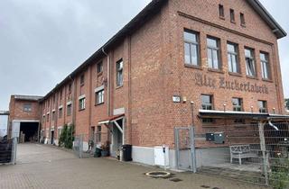 Wohnung mieten in Wernigeröder Str 17, 38895 Derenburg, Attraktive Wohnung in Derenburg ab 01.09.2026 zu vermieten