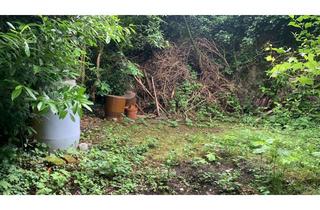 Wohnung mieten in Alexanderstraße 79-81, 52062 Aachen, Ihr Rückzugsort im Grünen – Gartenfläche in zentraler Lage