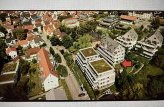 Wohnung mieten in Lenaustraße, 74189 Weinsberg, Gartenwohnung mit Terrasse und EBK: Geschmackvolle 3-Zimmer EG-Wohnung mit Garten