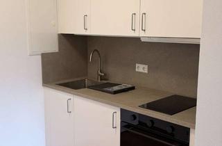 Wohnung mieten in 69226 Nußloch, Moderne 1-Zimmer-Wohnung mit Balkon in Nußloch, teilmöbliert