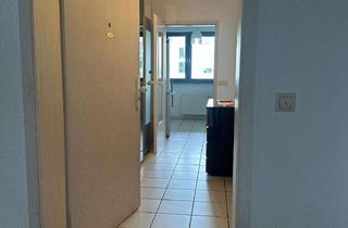 Wohnung mieten in 56073 Moselweiß, Freundliche 1-Zimmer-Wohnung in Koblenz-Moselweiß