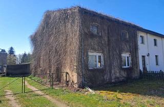 Doppelhaushälfte kaufen in Hauptstraße 12, 17099 Datzetal, Doppelhaushälfte mit großem Grundstück