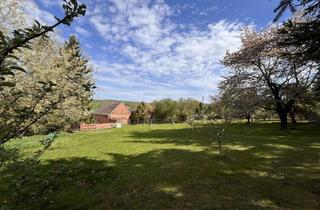 Haus kaufen in 07616 Bürgel, Romantischer Dreiseitenhof mit großem Grundstück – viel Platz für Leben, Tiere und neue Ideen
