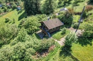Haus kaufen in 71579 Spiegelberg, Charmantes Blockhaus in Spiegelberg: Auszeit, Weitblick und Natur pur auf großem Grundstück erleben!