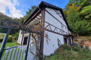Einfamilienhaus kaufen in 66424 Homburg, Großzügiges Einfamilienhaus mit Einliegerwohnung in bester und ruhiger Süd-und Waldrandlage