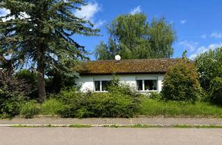 Einfamilienhaus kaufen in 74842 Billigheim, Freistehendes Einfamilienhaus