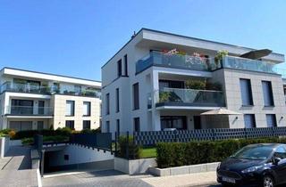 Penthouse mieten in 60388 Frankfurt, Frankfurt-Bergen – gemütliche 2 Zimmer-Penthousewohnung mit großer Dachterrasse