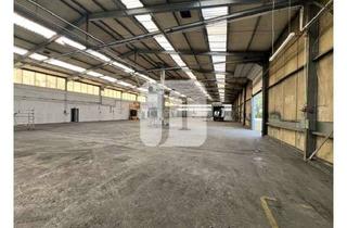 Büro zu mieten in 29525 Uelzen, ab ca. 1.050 m² - ca. 2.524 m² Hallenflächen, ca. 369 m² Büro sowie ca. 7.000 m² Freiflächen