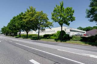 Gewerbeimmobilie mieten in 41812 Erkelenz, Hochwertige Produktions- und Logistikflächen mit eigener Trafostation und Sprinkleranlage im Gewerbe