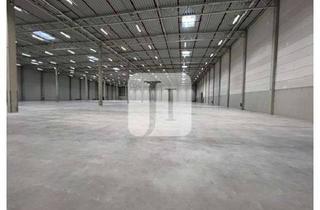 Büro zu mieten in 22844 Norderstedt, NEUBAU - ca. 6.800 m² Lager-/Logistikfläche, ca. 385 m² Lagermezzanin sowie ca. 497 m² Büro