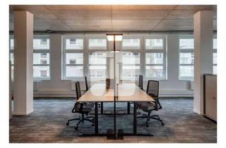 Büro zu mieten in 20539 Rothenburgsort, Neubau - ca. 379 m² Lager-/Produktions-/Werkstattfläche und ca. 207 m² Büro-/Loftfläche