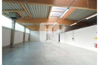 Büro zu mieten in 17192 Waren, -SOLITÄROBJEKT- ca. 595 m² hochwertige Lager-/Fertigungsfläche mit integrierten Büro-/ Sozialflächen