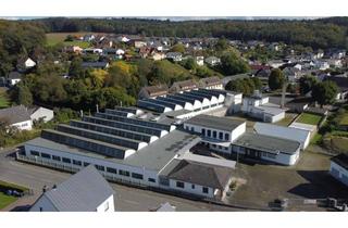 Gewerbeimmobilie mieten in 35781 Weilburg, Vielseitig nutzbare Gewerbehalle 1.000 qm mit 3 t Laufkran bei Weilburg - provisionsfrei