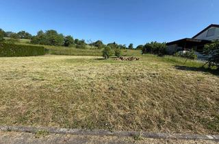 Grundstück zu kaufen in 73274 Notzingen, Großer Bauplatz in Bestlage von Notzingen zu verkaufen