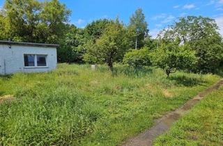 Grundstück zu kaufen in Boddenstraße 6 b, 18586 Gager, Grundstück mit Altbestand in strandnaher Lage