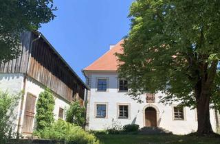 Immobilie mieten in Schloßstrasse, 92360 Mühlhausen, Idyllisch gelegene 1-Zimmer-Wohnung in Mühlhausen, OT Wappersdorf
