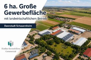 Immobilie kaufen in 67125 Dannstadt-Schauernheim, 6 ha große Gewerbefläche mit landwirtschaftlichem Betrieb