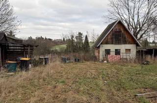 Gewerbeimmobilie kaufen in 08527 Thiergarten, Großzügiges Freizeitgrundstück innerhalb einer Waldsiedlung in Plauen mit vielseitigen Nutzungsmögli