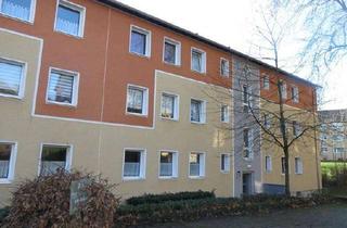 Wohnung mieten in Nordstr. 83, 40822 Mettmann, Frisch renovierte 2-Zi.-EG-Whg. mit Tageslichtbad und Balkon