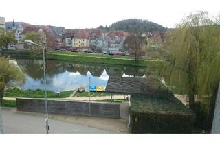 Wohnung mieten in 78532 Tuttlingen, 2 Zimmer in Stadtmitte Tuttlingen