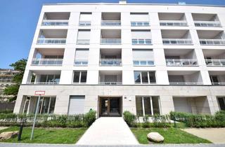 Wohnung mieten in Fritz-Wildung-Straße 14B, 14199 Schmargendorf, sonniges 1 Zimmer Apartment mit kleiner Terrasse in ruhiger, zentraler Wohnlage