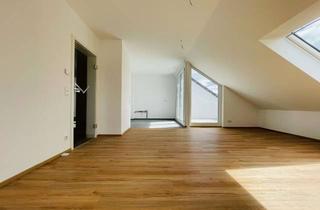 Wohnung mieten in 64625 Bensheim, Erstbezug: 2,5-Zimmer-Neubau-Dachgeschosswohnung mit Dachterrasse & Tiefgaragenstellplatz