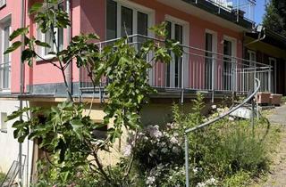 Wohnung mieten in 79410 Badenweiler, Traumwohnung für eine Person in Badenweiler!