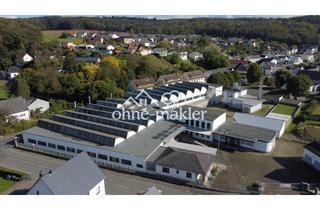 Büro zu mieten in 35781 Weilburg, Vielseitig nutzbare Gewerbehalle 1.000 qm mit 3 t Laufkran bei Weilburg - provisionsfrei