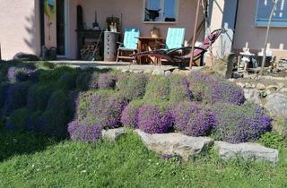 Wohnung mieten in Eberdingerstr. 54, 71287 Weissach, Alltagstaugliches 1-Zimmer-Apartment in Weissach