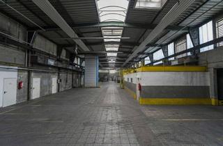 Gewerbeimmobilie mieten in 59939 Olsberg, Hallenflächen | Werkstatt | Produktion | Lager