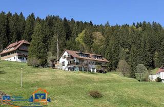 Mehrfamilienhaus kaufen in 72270 Baiersbronn, Wohnen wo anderen Urlaub machen - Großzügiges Mehrfamilienhaus in TOP-Lage