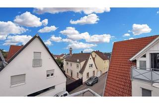 Loft kaufen in 68259 Mannheim, Maisonette mit Charakter – Ihr neues Zuhause über den Dächern von Feudenheim - ab Juli frei