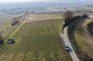 Grundstück zu kaufen in Flurstücke: 4815, 4814, 4813, 79331 Teningen, Weinberg in sonniger Lage in Köndringen / Malterdingen