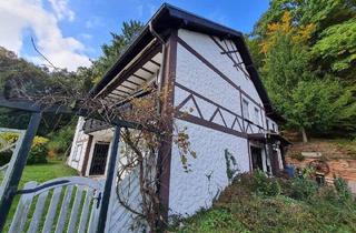 Einfamilienhaus kaufen in 66424 Homburg, Homburg-Kirrberg - Großzügiges Einfamilienhaus mit Einliegerwohnung in bester und ruhiger Süd-und Waldrandlage