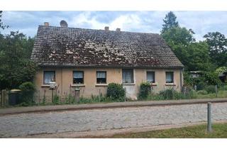 Einfamilienhaus kaufen in 14715 Milower Land, Milower Land - Zuhause in ruhiger Nachbarschaft