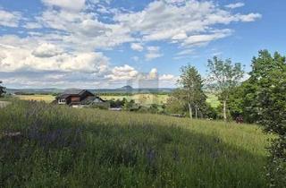 Grundstück zu kaufen in 78250 Tengen, Tengen - UNVERBAUBARES NATURPARADIES MIT PREMIUMAUSSICHT