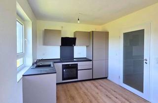 Wohnung mieten in 55459 Aspisheim, Stilvoll renoviertes 1-Zimmer-Apartment in ruhiger Lage von Aspisheim