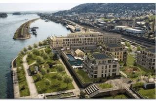 Penthouse mieten in 55411 Bingen, Außergewöhnliche 2 Zimmer Penthousewohnung direkt am Rhein in Bingen am Rhein zu vermieten